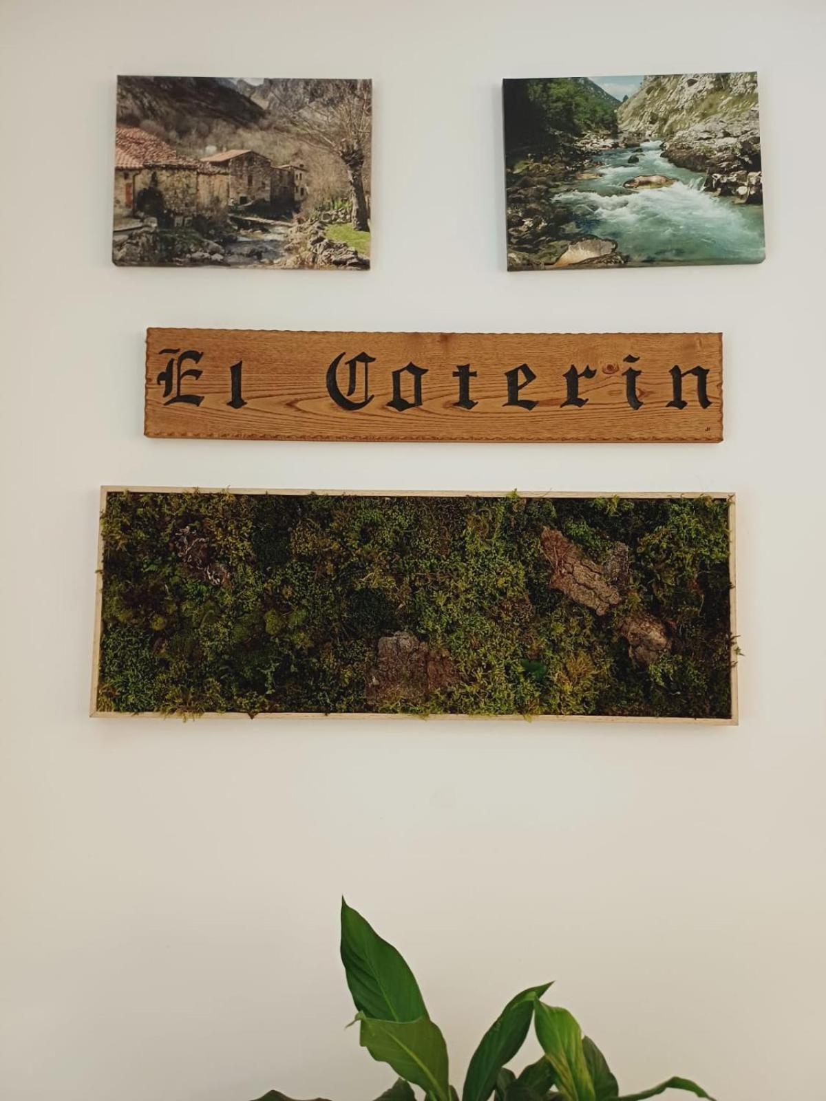Hotel El Coterin Apartamentos Y Habitaciones 아레나스데카브랄레스 외부 사진
